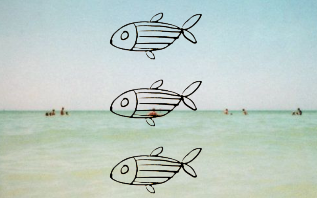 Fish vs. Fish Oil and How to Find the Best Quality Fish Oil